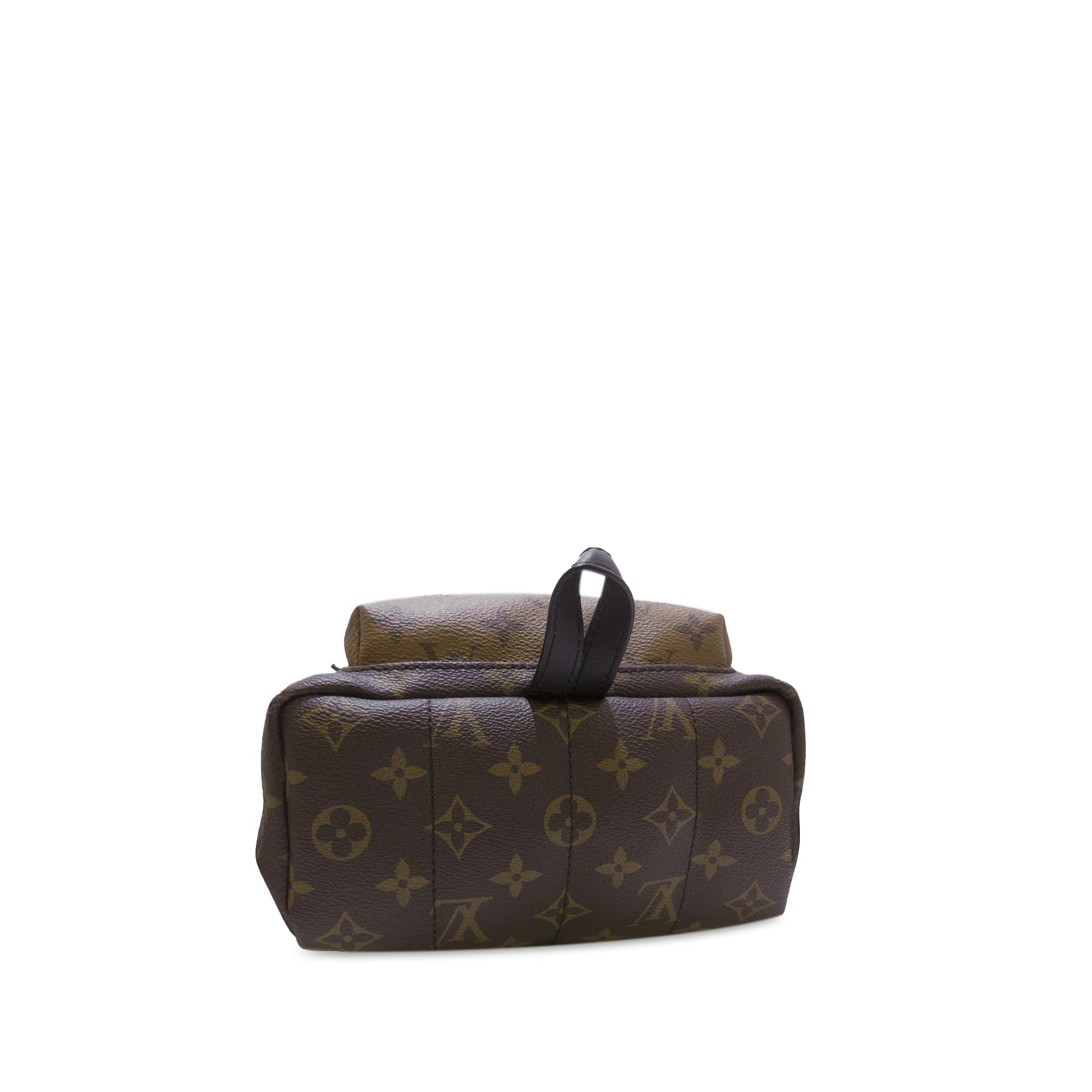 Louis Vuitton Pre-Owned Monogram Reverse Palm Springs PM | Women | Brown