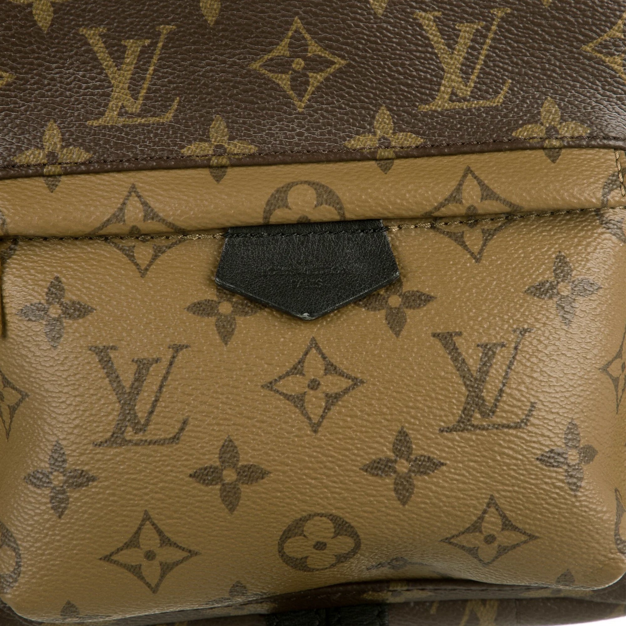 Louis Vuitton Pre-Owned Monogram Reverse Palm Springs PM | Women | Brown