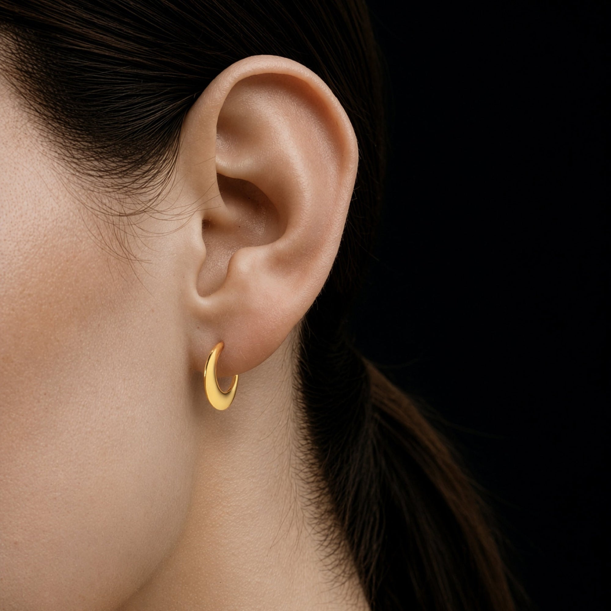 Crest Earrings | 18K Gold Plated on Brass