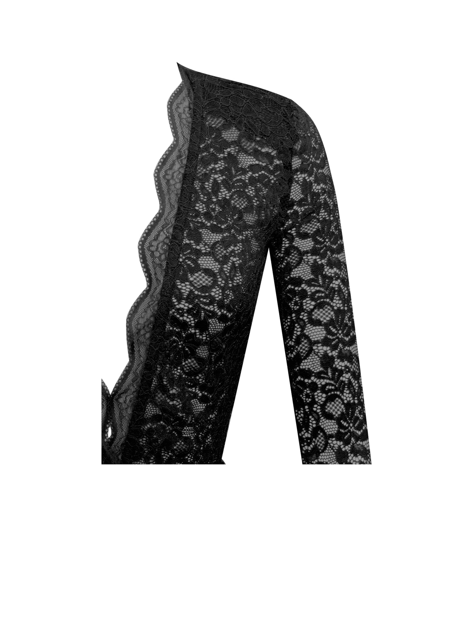 Nadina Lace Velvet Mini Dress | Black
