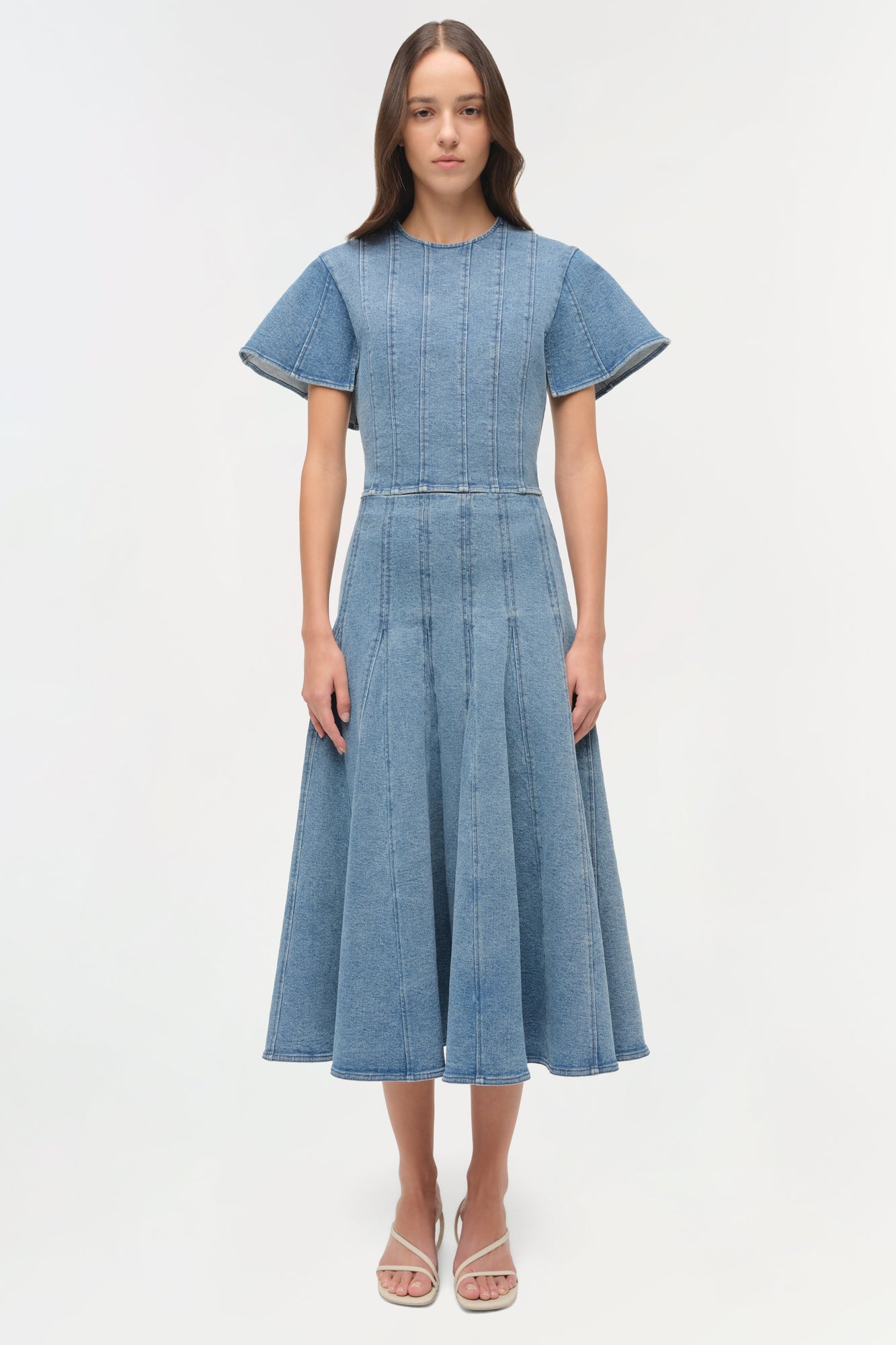 Woman wearing light blue denim dress with short sleeves, vertical seaming detail, and full midi skirt.
