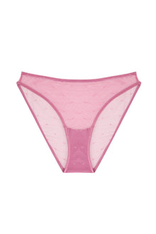 Kate Brief | Wild Rose