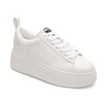 White/Silver