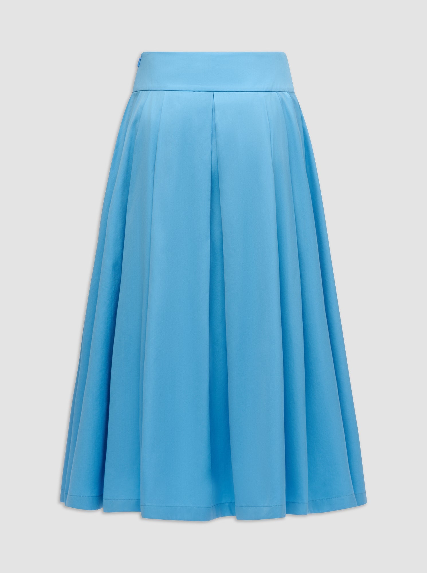 Consuela Pleated Full Skirt | Blue