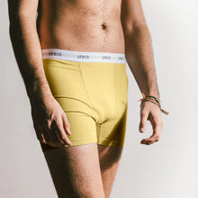 Pale Banana-Cotton-Boxer-Brief-2