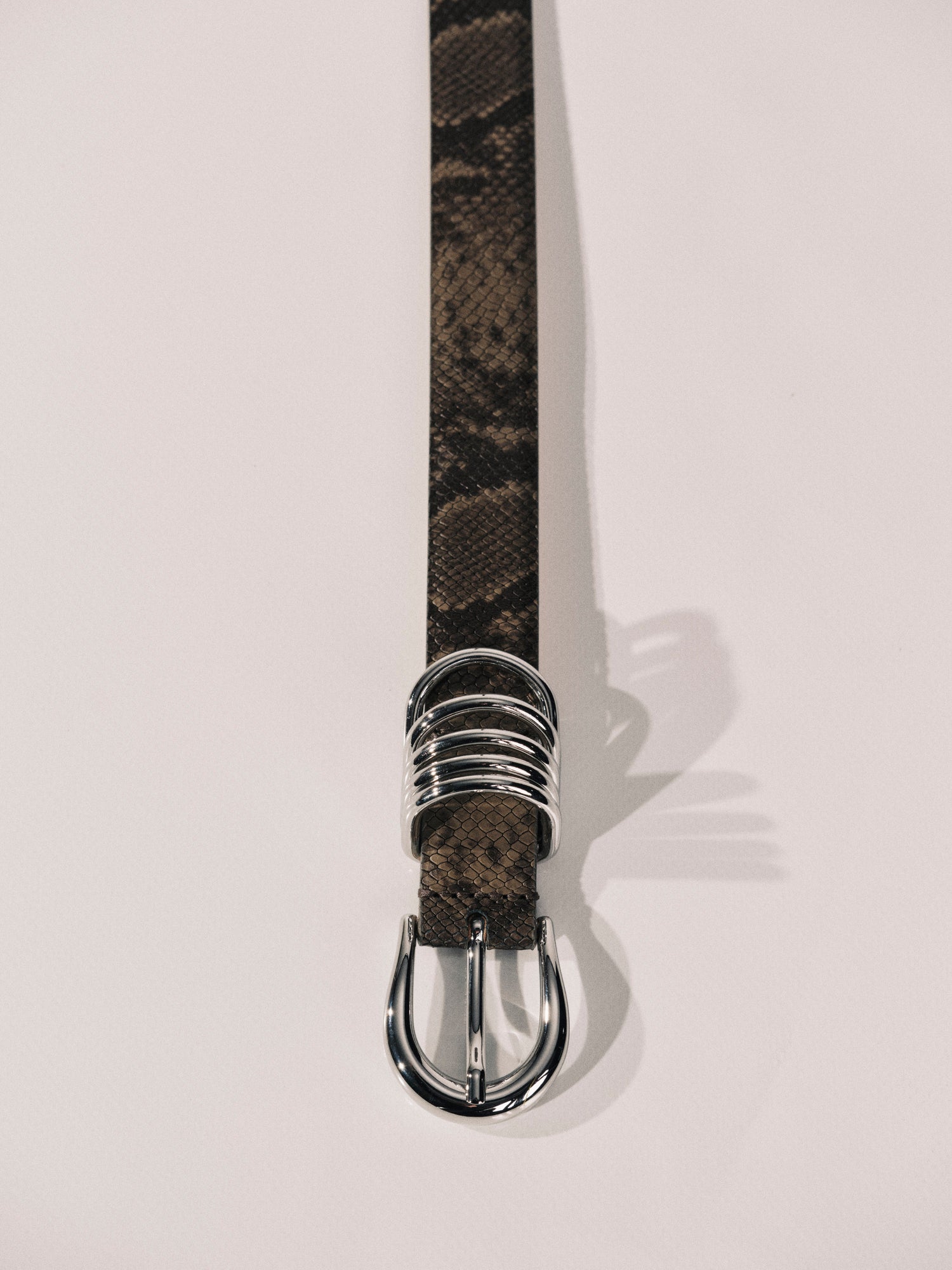 Hollyhock Belt | Neutral Brown Snakeskin & Silver