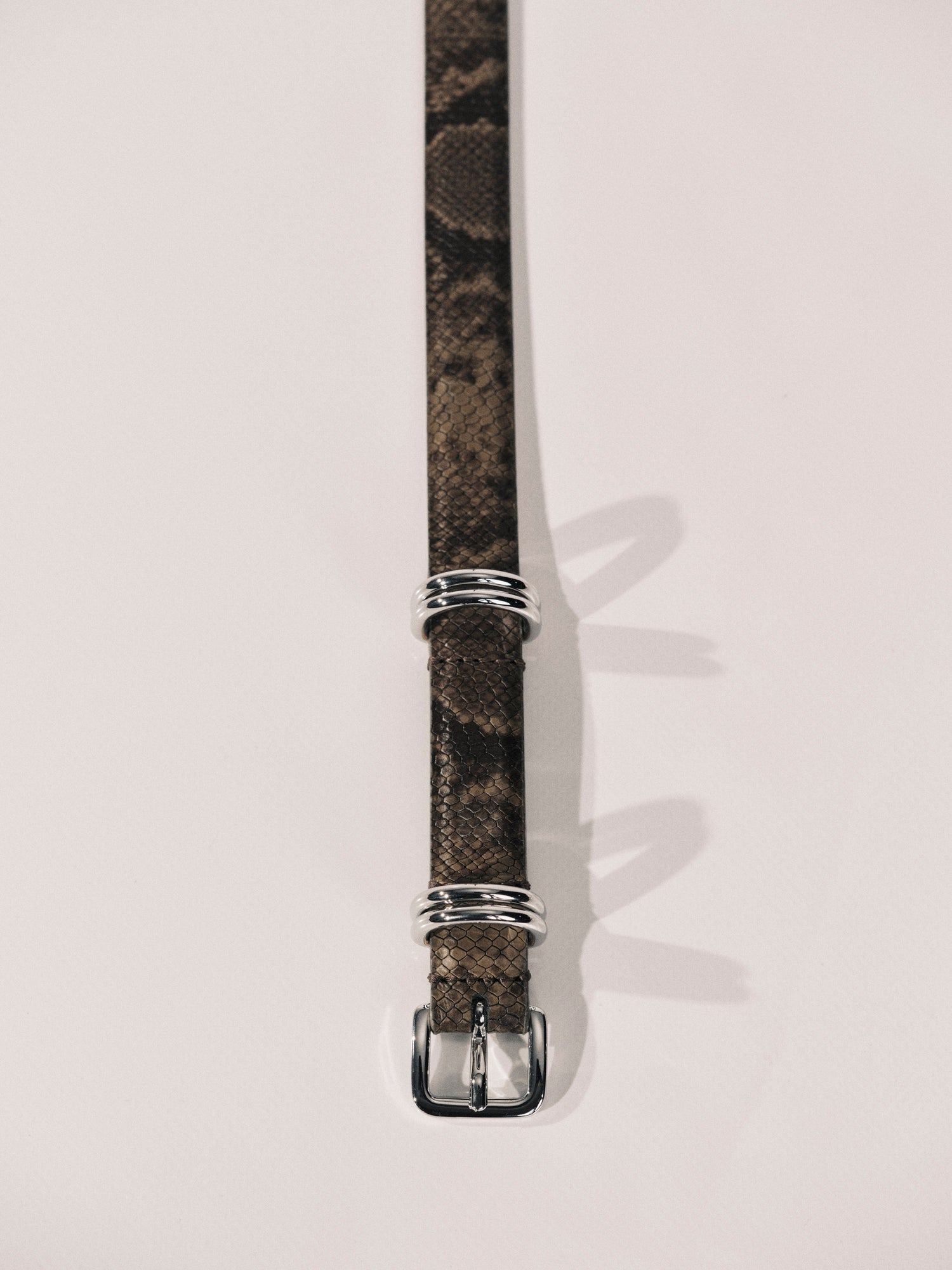 Constance Belt | Neutral Brown Snakeskin & Silver