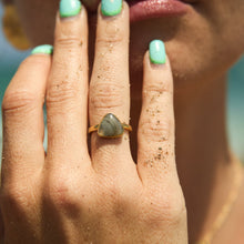 Clover Ring | Labradorite | 14K Gold Plated