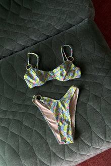 Briar Bottoms | Palisades