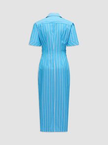 Lou Fitted Shirt Dress | Blue Stripe