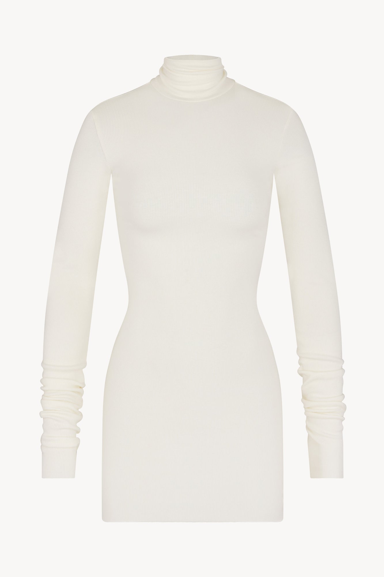 LONG SLEEVE TURTLENECK MINI DRESS - ETERNE