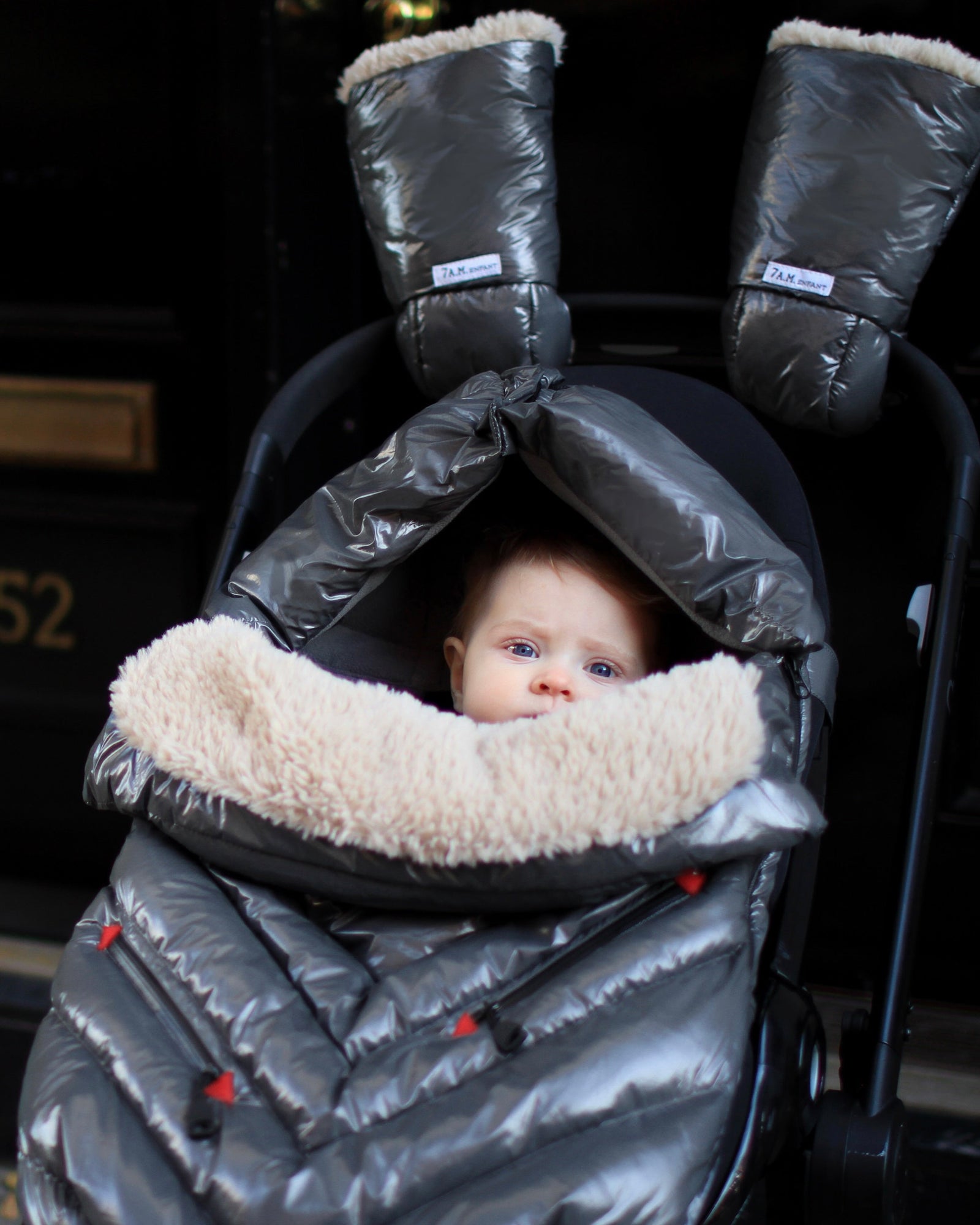 Polar Igloo | Graphite Polar