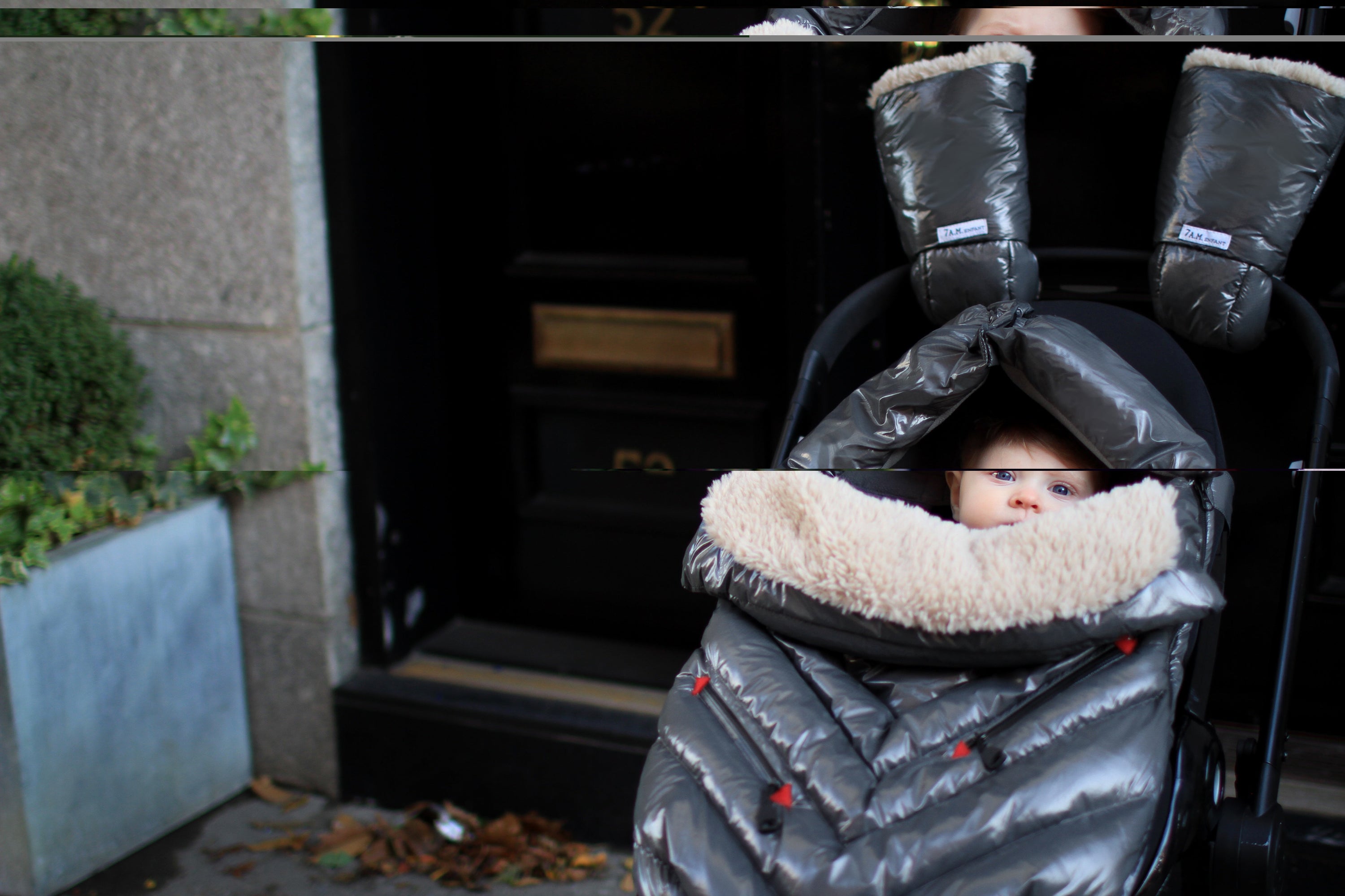 Polar Igloo | Graphite Polar