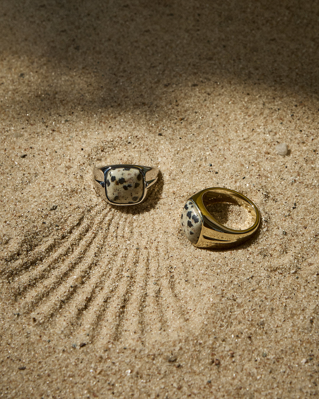 The Palma Signet Ring | Dalmatian Jasper | Silver
