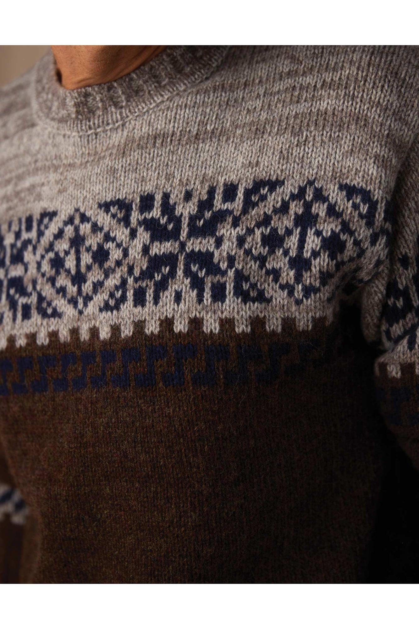 Men | Fair Isle Crew | Brown Multi