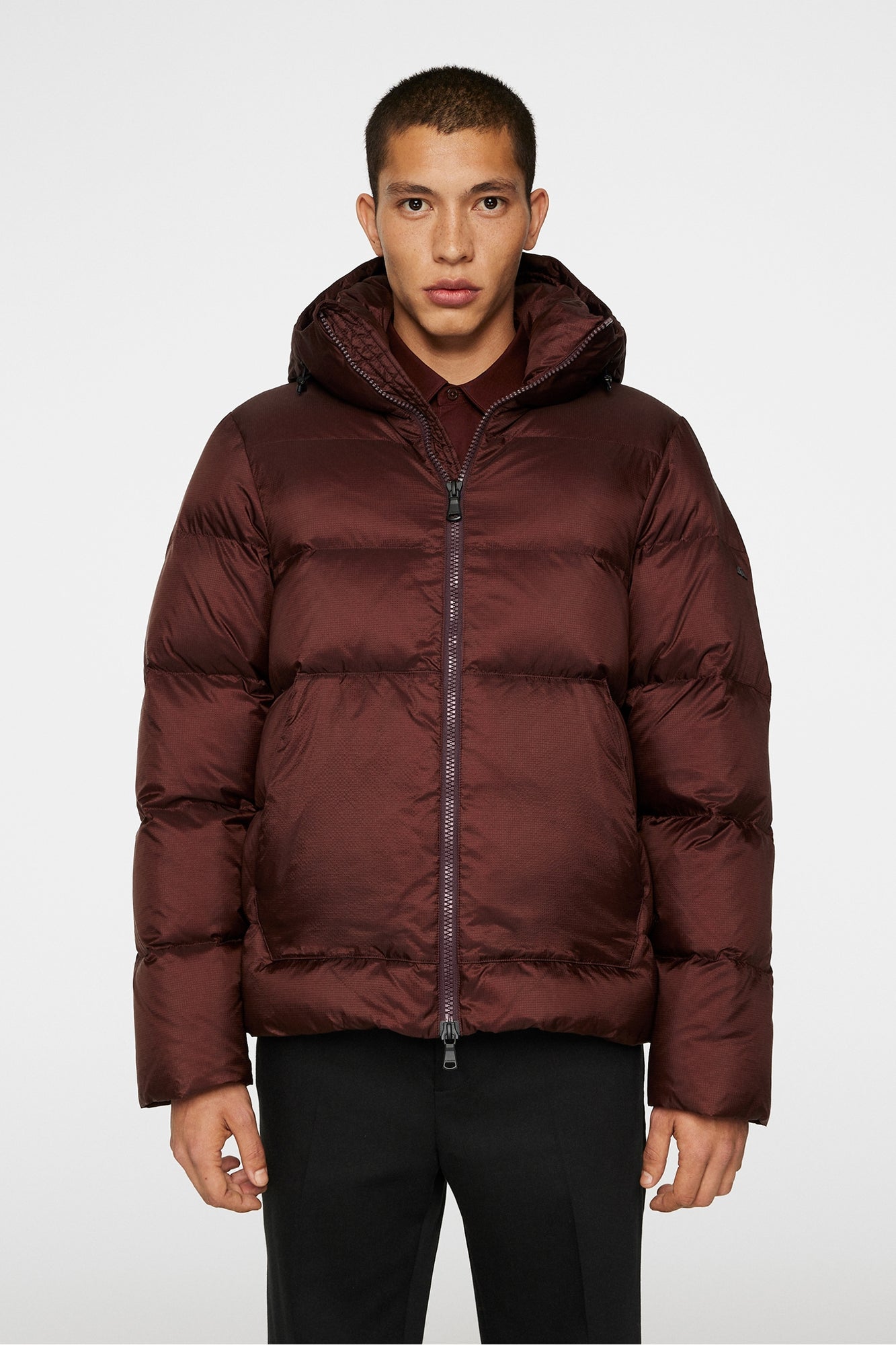 Men | Farrell Down Jacket | Bitter Chocolate