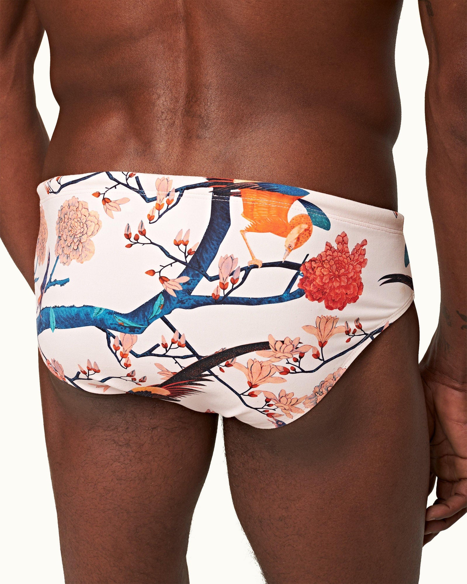 Rose Flight Of Fantasy Classic Swim Briefs | Rose