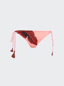 Women | Johanna Ortiz | Amaru Bikini Bottom | Banana Salmon