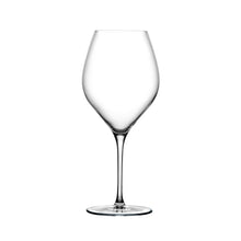 Vinifera White Wine Glasses - 600 CC | Clear Crystal | Set of 2