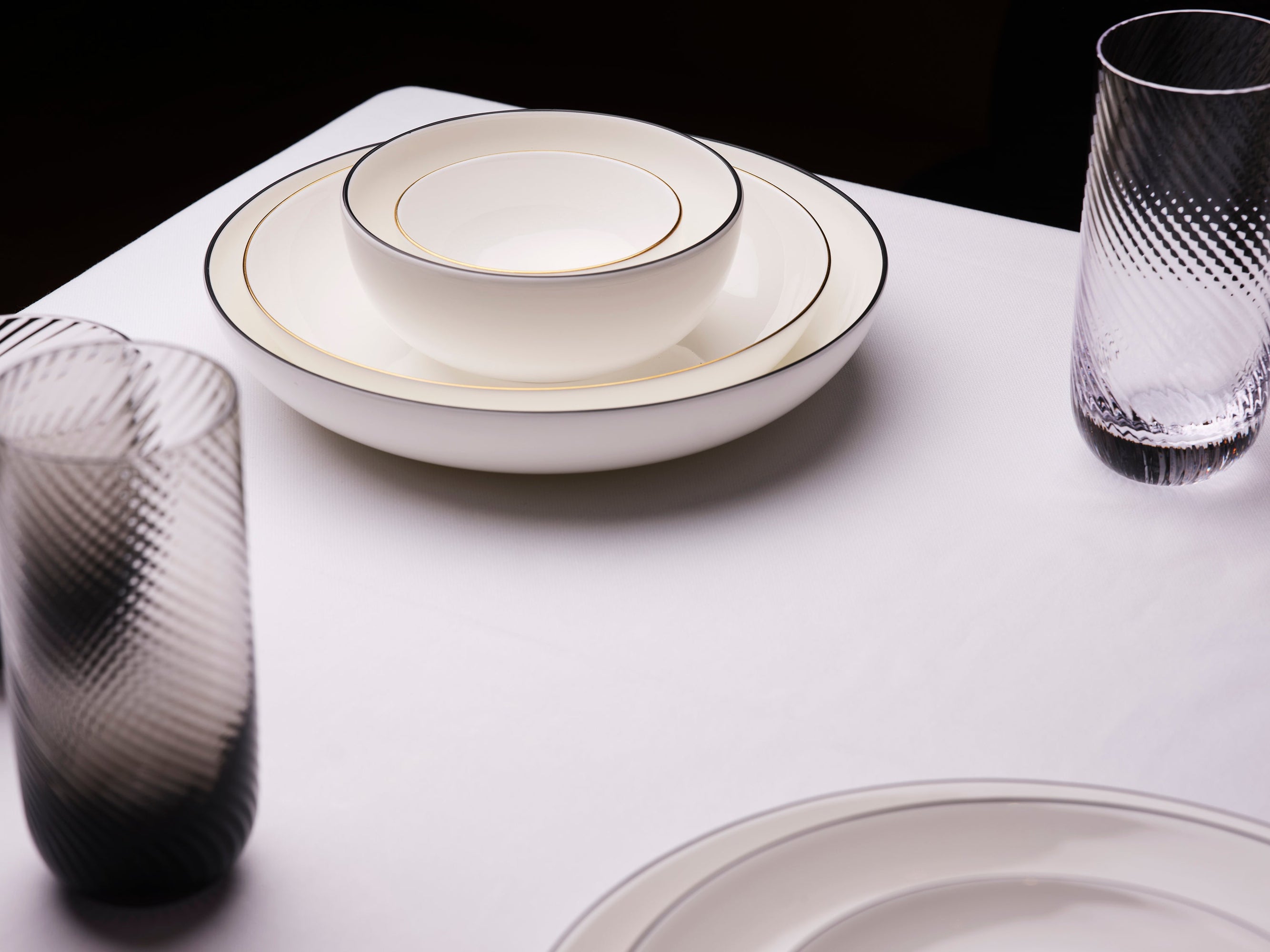 Rimmed Dinner Plate (Set of 2) | Bone China | White | Matte Black | Line Collection