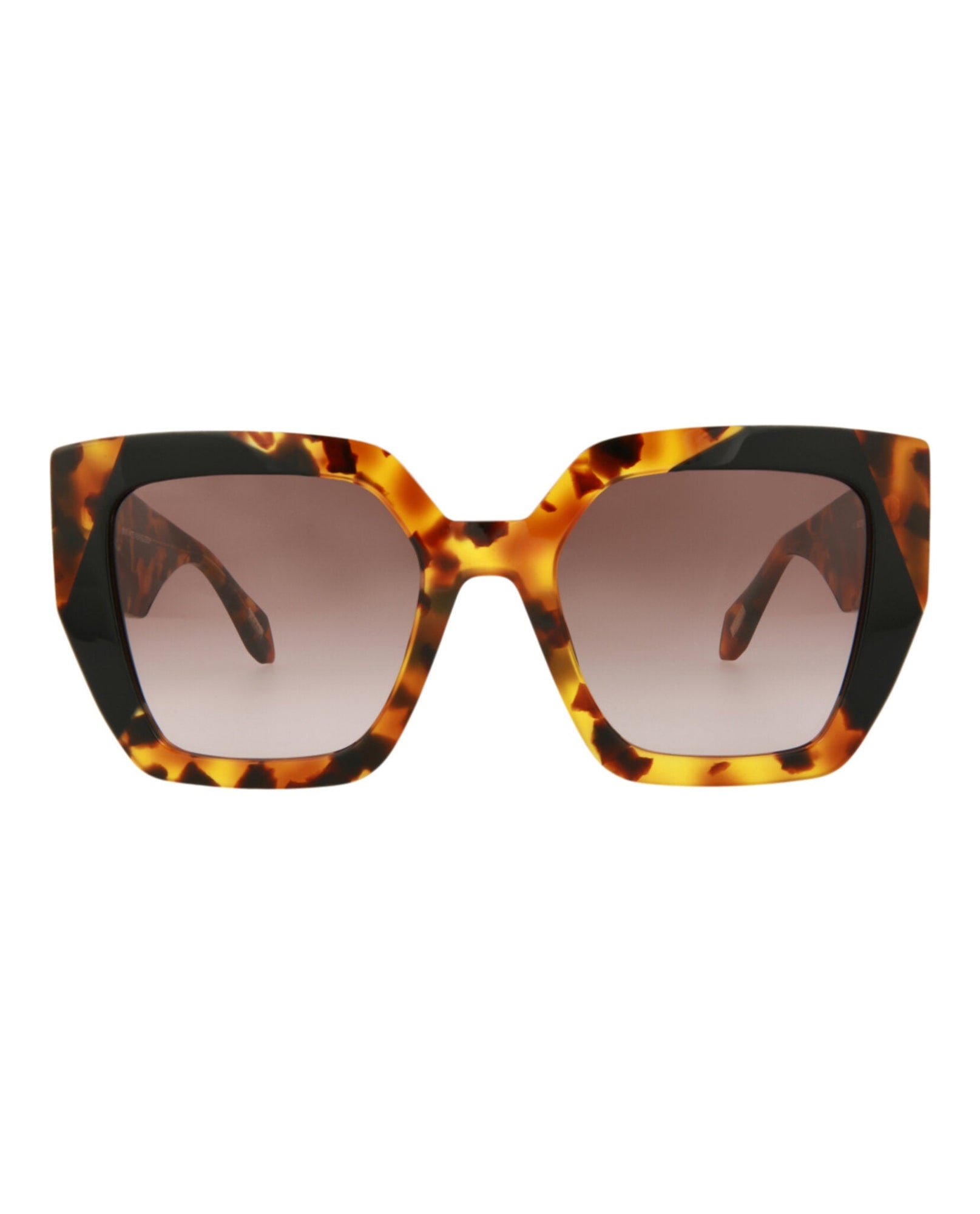 Just Cavalli Square Acetate Sunglasses | Havana