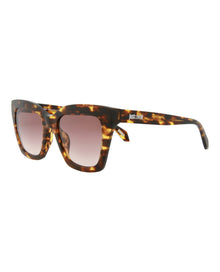 Just Cavalli Cat Eye Acetate Sunglasses | Havana