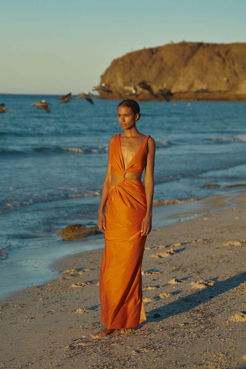 Dakota Maxi Dress | Titan