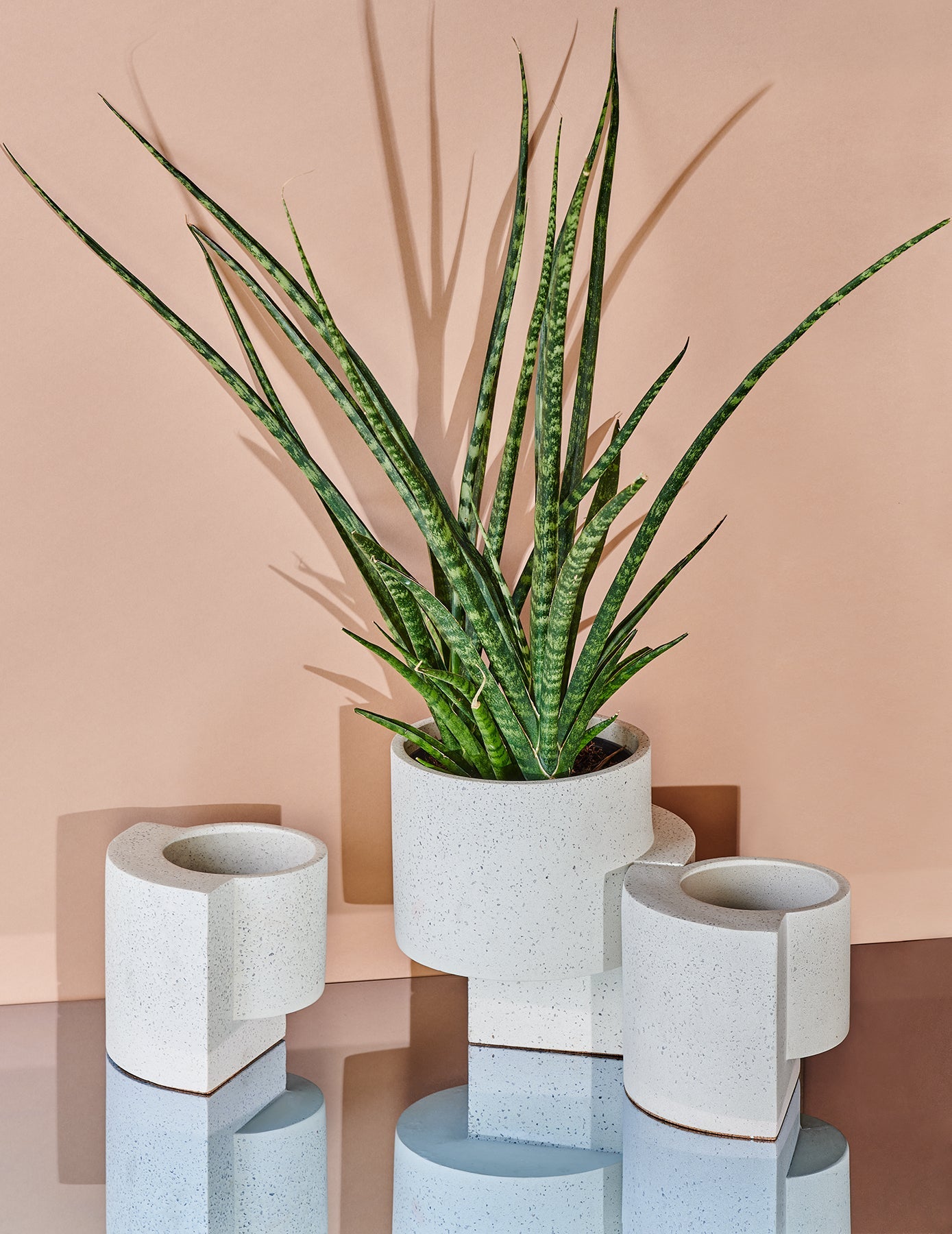 Platform Planter Set | White