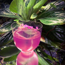Hepburn Low Ball Glasses | Clear Crystal | Set of 4