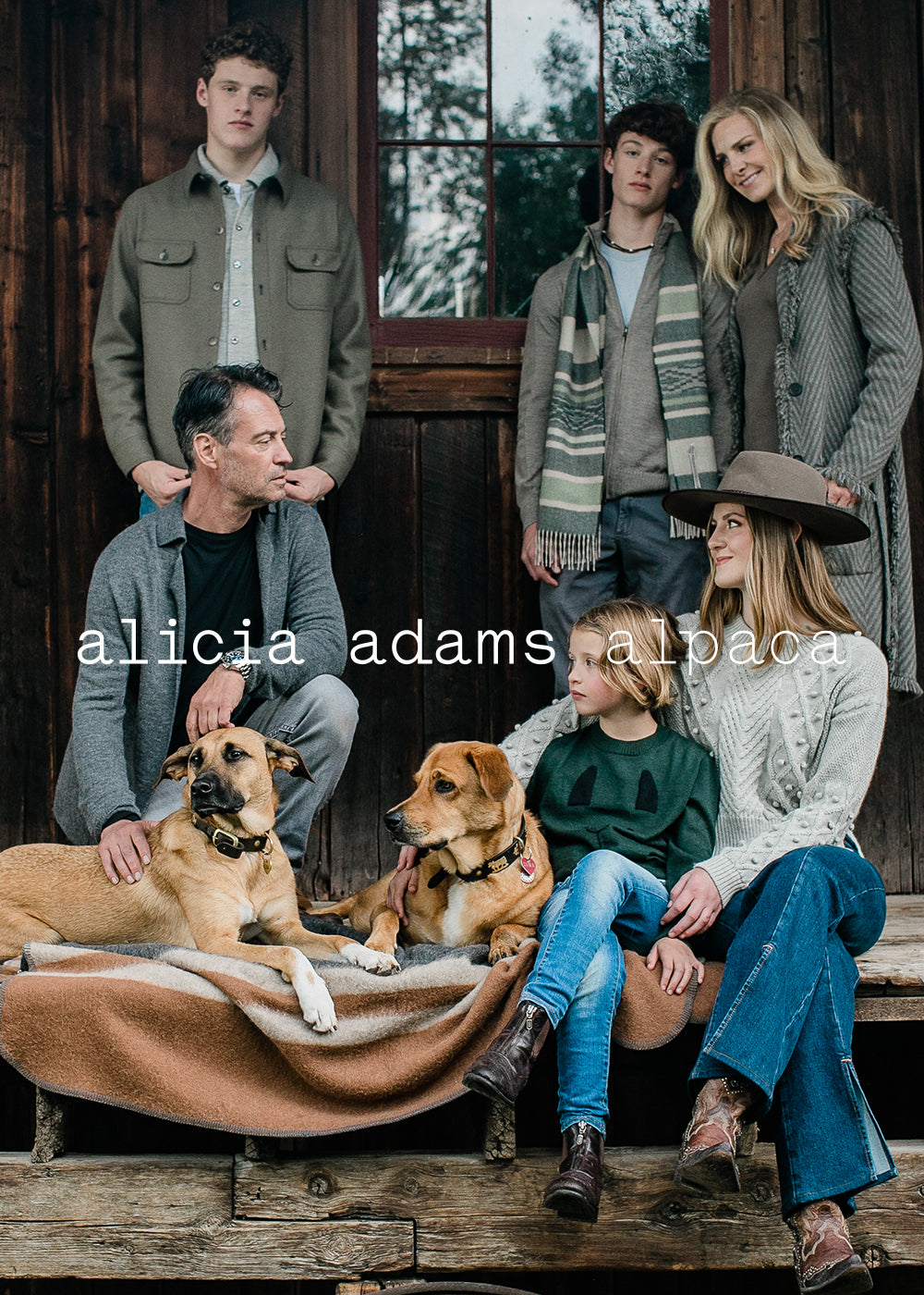 alicia adams alpaca