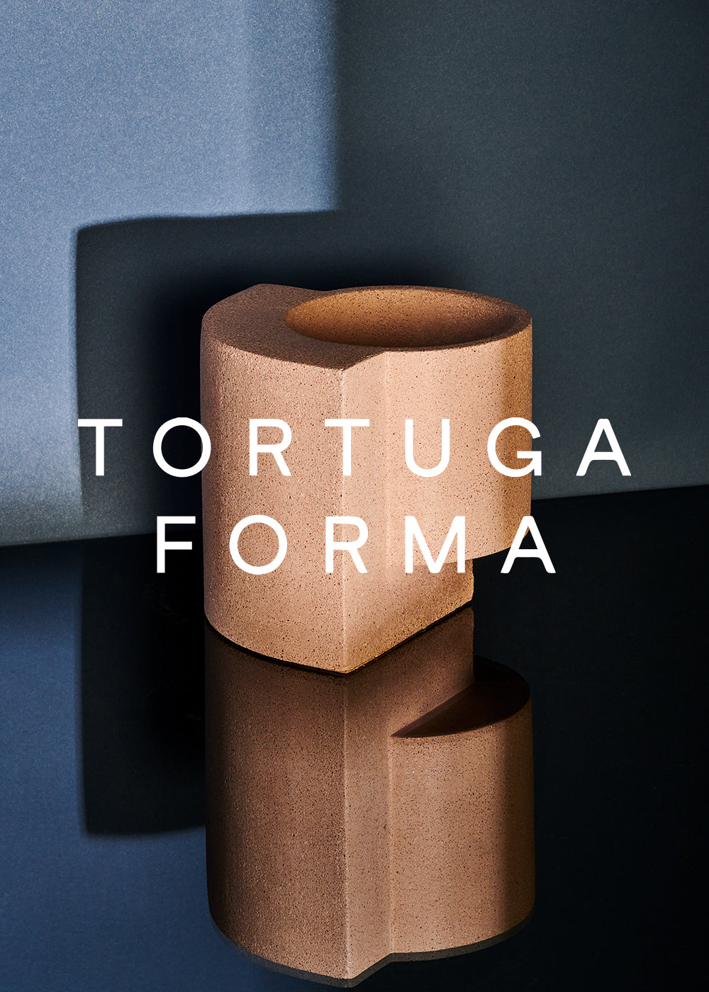 Tortuga Forma